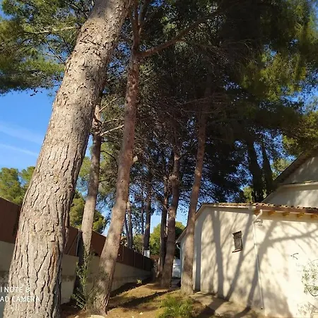 Masia Del Roc De Sant Caieta Roda de Berà (Roda de Bará)